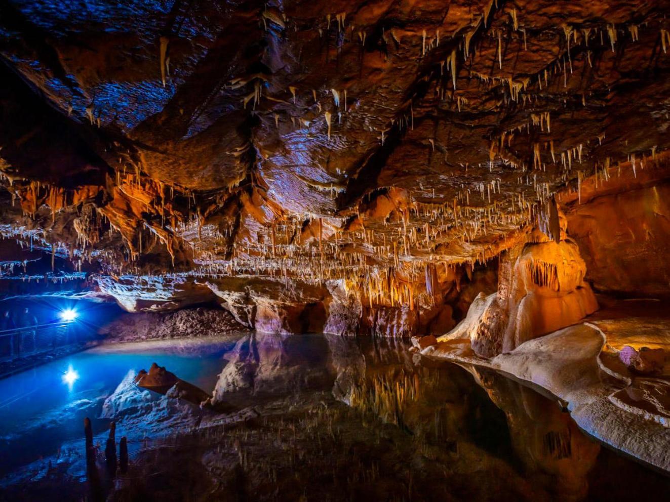 Lodg'ing Destination Nature Dordogne Lacave  Eksteriør billede